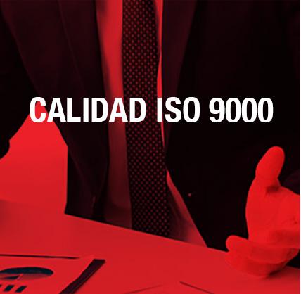 ISO 9000, ePeople Consulting